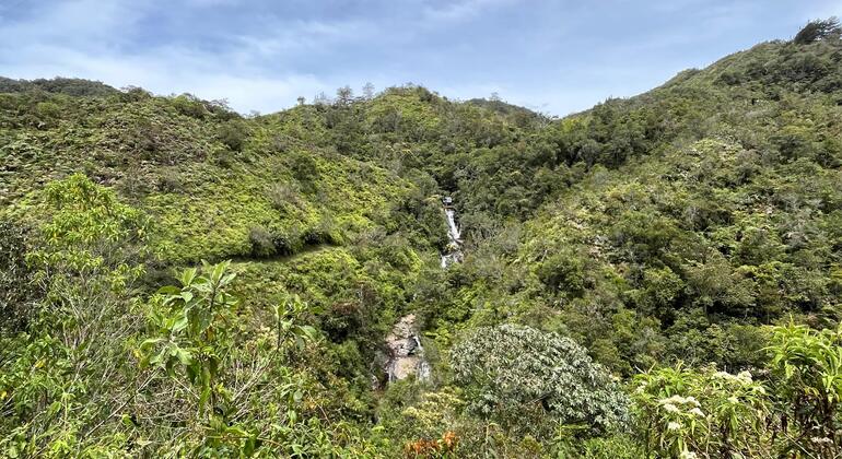 conexion-natural-yoga-senderismo-cascada-es-6