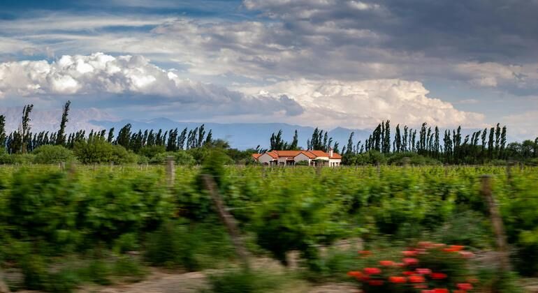 Discover Cafayate’s Artisans, Argentina