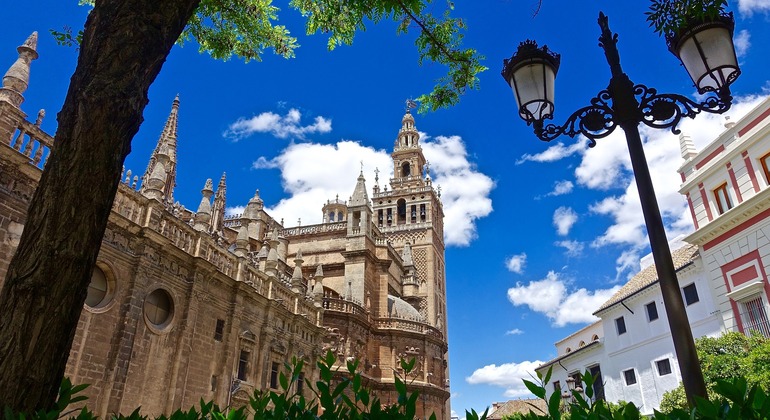 Free Tour: Monumental Seville from the Metropol-Parasol Spain — #3