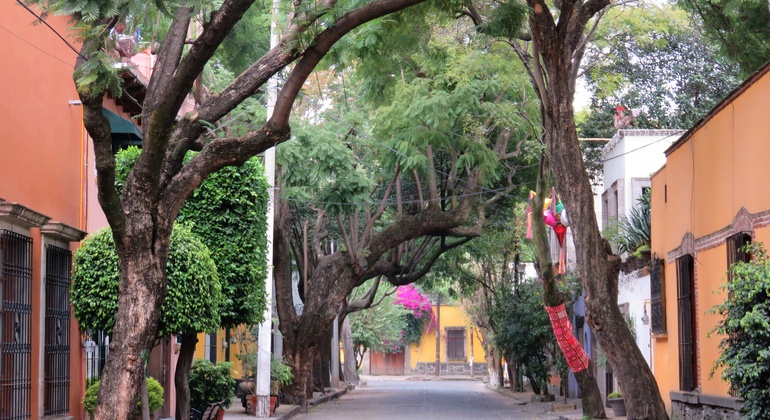 Descubra Coyoacan num passeio a pé gratuito