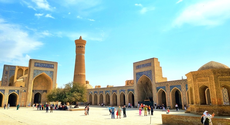 Old Bukhara & Daily Life Free Tour with a Local, Uzbekistan