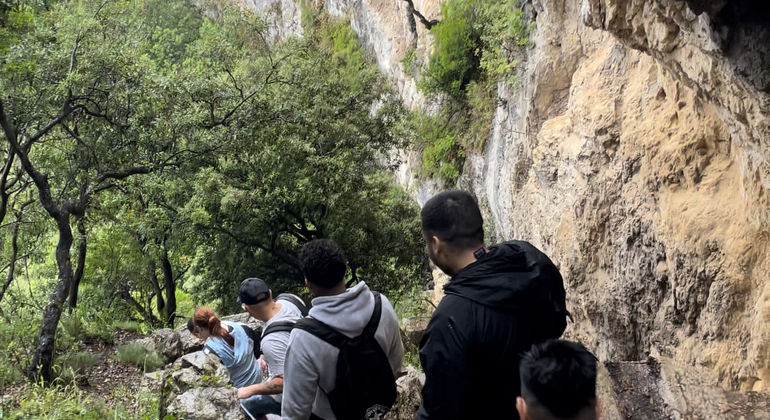 Santoña et Laredo : Excursion entre art et saveur Fournie par Explorando El Norte