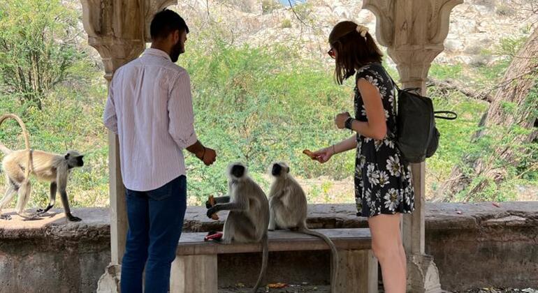 Visita guiada completa: Maravilhas da cidade de Amber Índia — #8