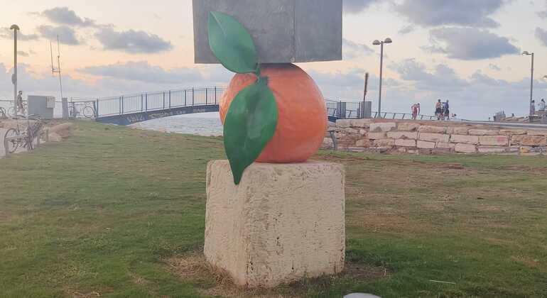discover-the-battle-of-jaffa-history-heroes-legacy-es-4