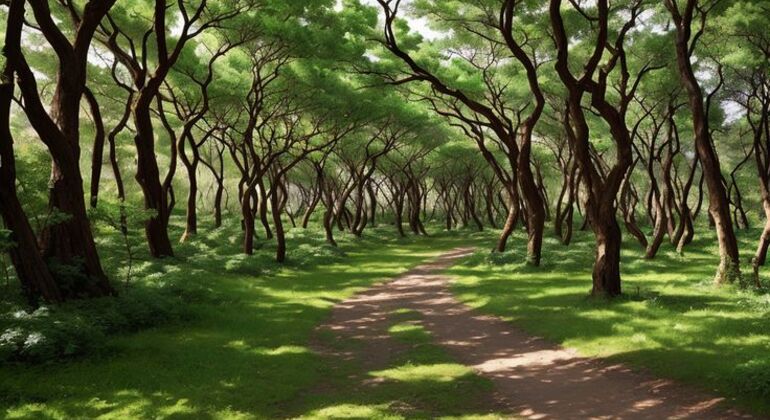 Explorar Guba e Shahdag Tour de Baku Azerbaijão — #9