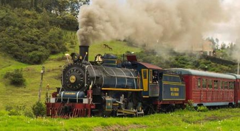 Descubre la Sabana en el Tren Turístico Colombia — #3