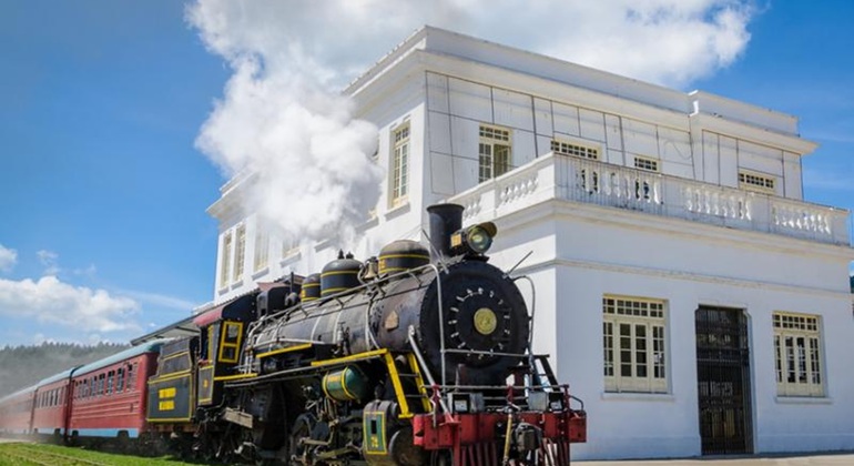 Descubre la Sabana en el Tren Turístico Colombia — #4