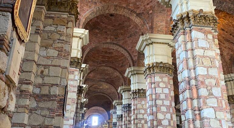 Descubre la Sabana en el Tren Turístico Colombia — #9