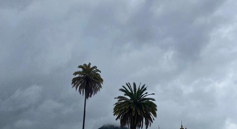 Descubre la Sabana en el Tren Turístico Colombia — #10