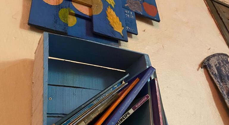 Descubre la Sabana en el Tren Turístico Colombia — #11