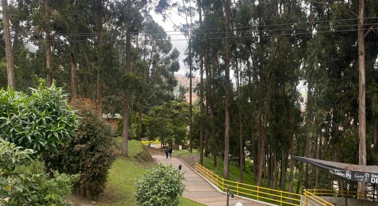 Descubre la Sabana en el Tren Turístico Colombia — #13