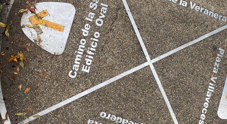 Descubre la Sabana en el Tren Turístico Colombia — #14