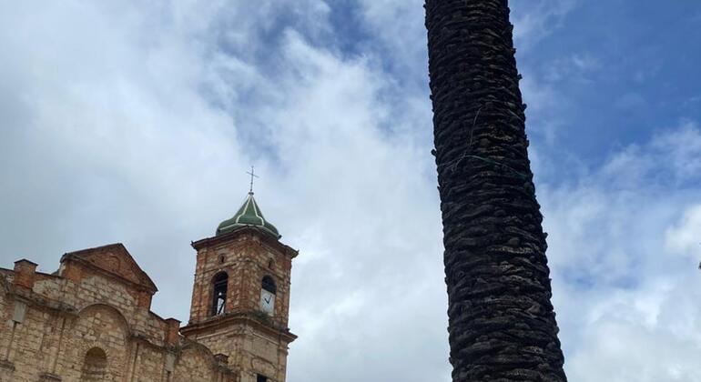 Descubre la Sabana en el Tren Turístico Colombia — #17