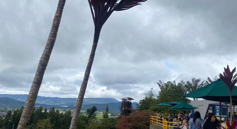 Descubre la Sabana en el Tren Turístico Colombia — #26