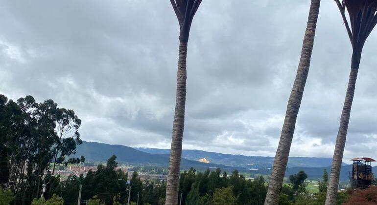 Descubre la Sabana en el Tren Turístico Colombia — #28