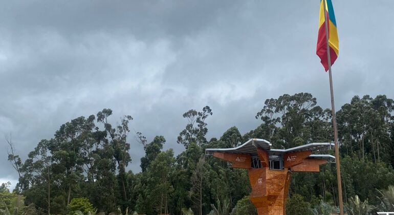 Descubre la Sabana en el Tren Turístico Colombia — #38