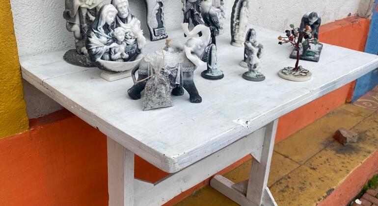 Descubre la Sabana en el Tren Turístico Colombia — #42