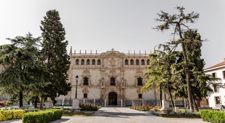 free-tour-por-alcala-historia-encanto-es-1