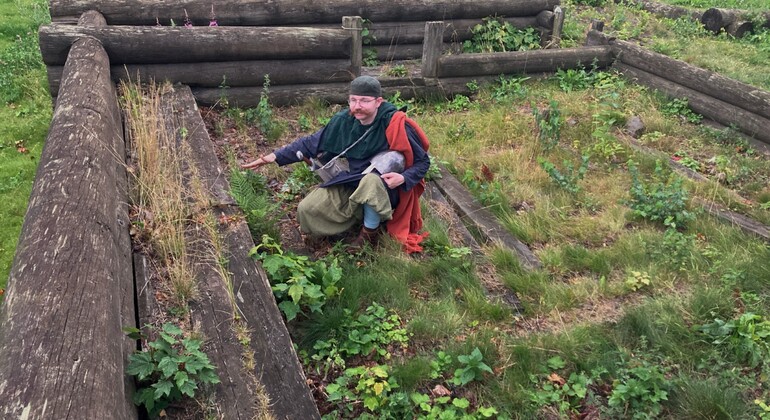 Tour gratuito del patrimonio vichingo di Oslo: A spasso con i nostri vichinghi Norvegia — #3