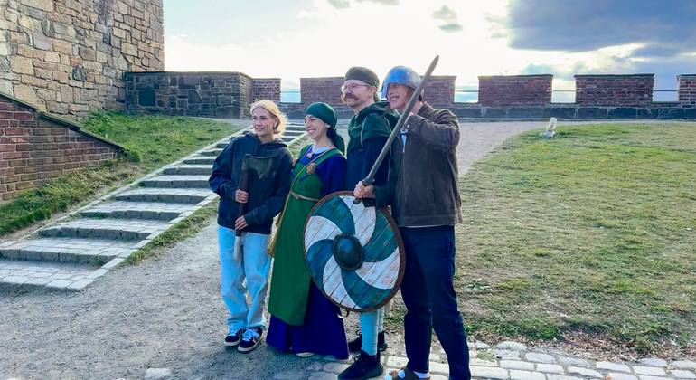 Tour gratuito del patrimonio vichingo di Oslo: A spasso con i nostri vichinghi Norvegia — #8