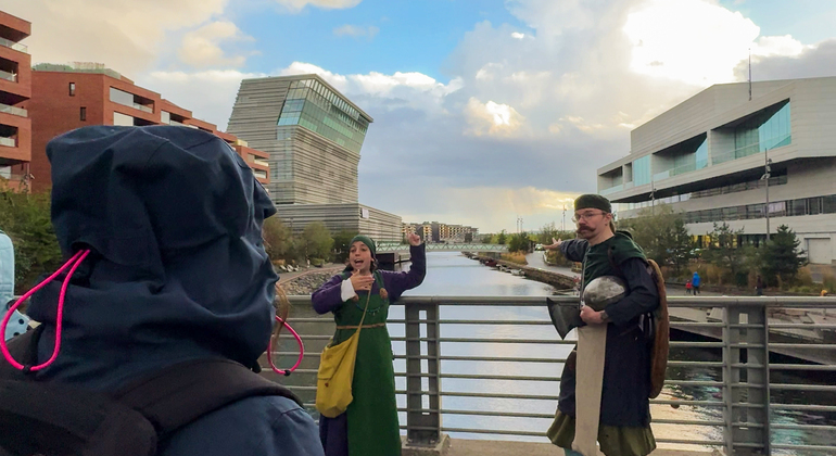 Tour gratuito del patrimonio vichingo di Oslo: A spasso con i nostri vichinghi Norvegia — #12