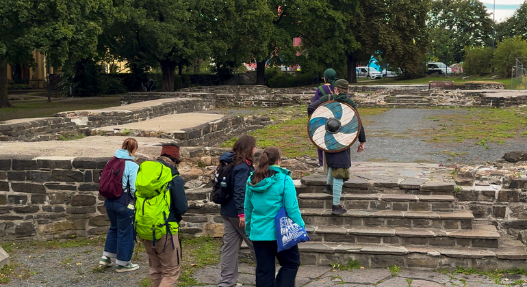 Tour gratuito del patrimonio vichingo di Oslo: A spasso con i nostri vichinghi Norvegia — #13