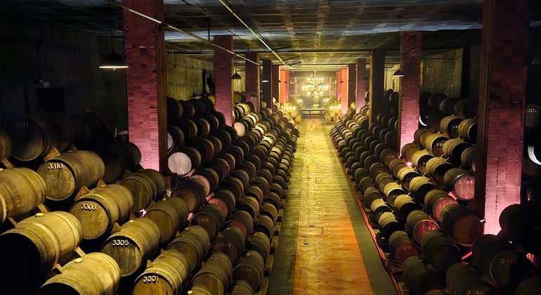 Bairrada Tour, Food and Wine Provided by PEDRO LOPES