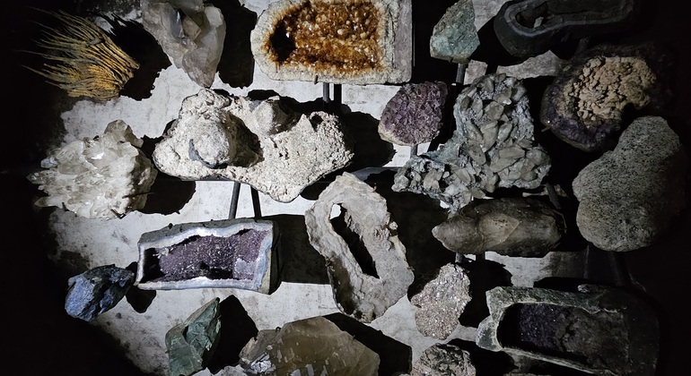 Bairrada Tour, Food and Wine Portugal — #3