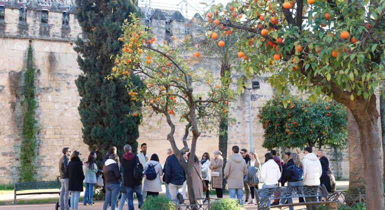 cordoba-esencial-free-tour-por-la-ciudad-es-3