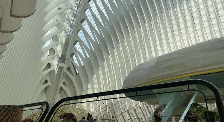 valencia-by-bike-city-of-arts-old-town-market-es-3