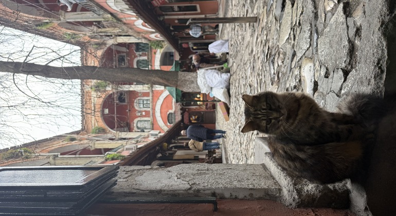 Grand Bazar et Suleymaniye : Un grand goût d'Istanbul Turquie &mdash; #15