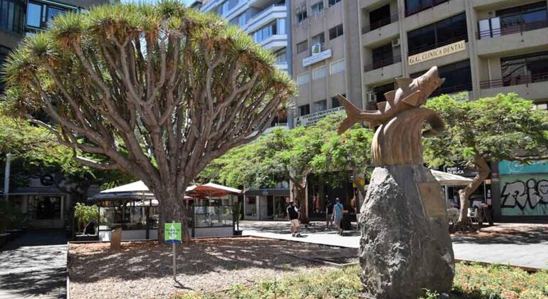 free-tour-por-santa-cruz-de-tenerife-es-1