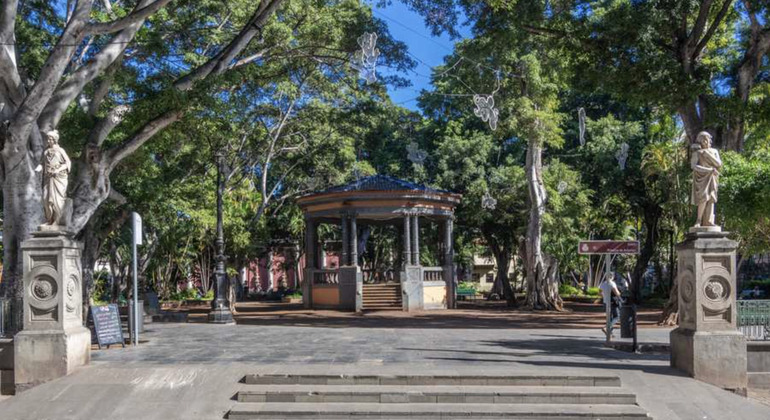 free-tour-por-santa-cruz-de-tenerife-es-2