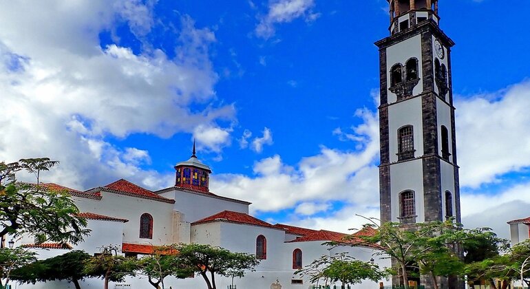 free-tour-por-santa-cruz-de-tenerife-es-3