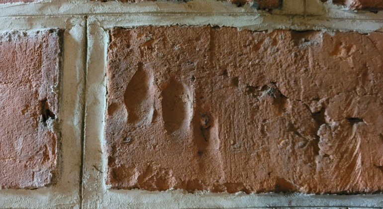 Visita à Catedral e à Cidade Velha de Poznan Polónia — #6