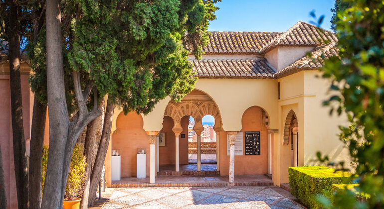 free-tour-malaga-esencial-historia-legado-de-picasso-es-6