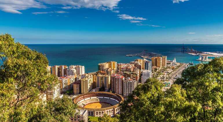 free-tour-malaga-esencial-historia-legado-de-picasso-es-13