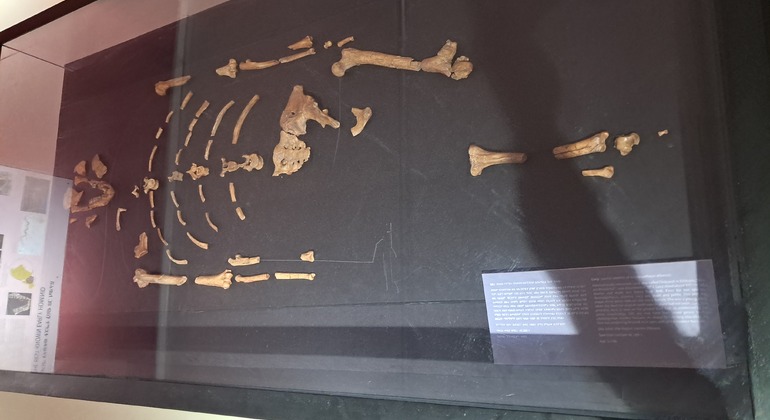 Addis Ababa Highlights: Museums, Market & Landmarks Ethiopia — #3