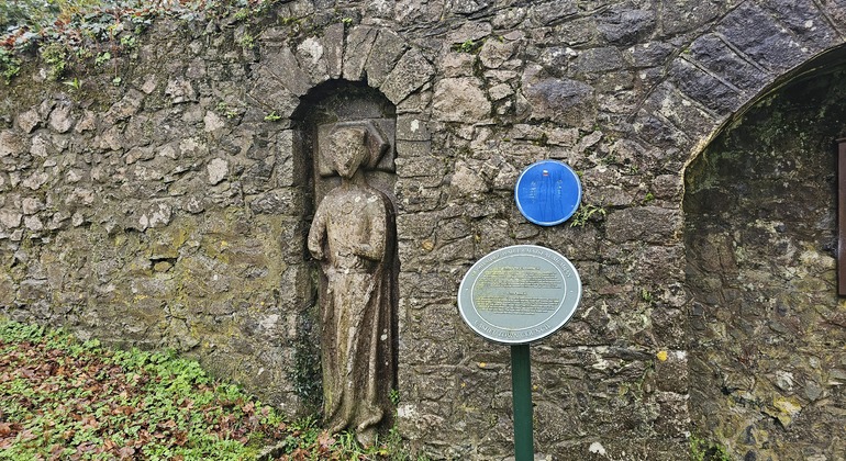 city-of-kings-walking-tour-of-cashel-en-3