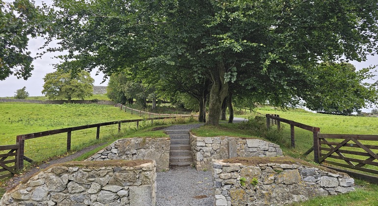 city-of-kings-walking-tour-of-cashel-en-7