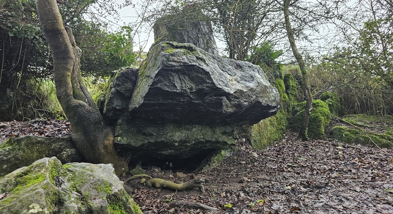 city-of-kings-walking-tour-of-cashel-en-8