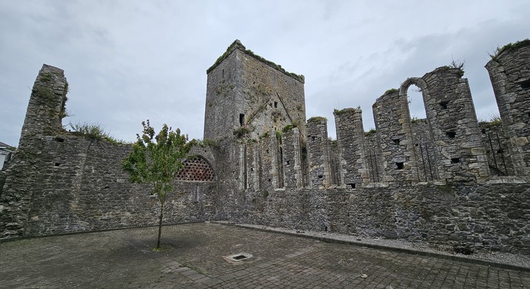 city-of-kings-walking-tour-of-cashel-en-9