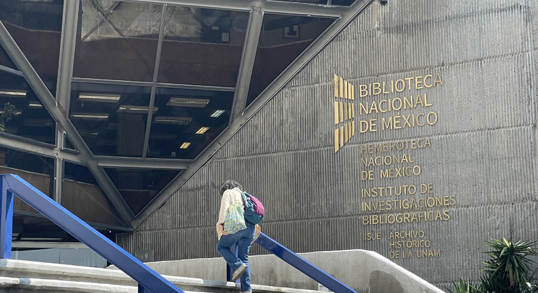 Full UNAM Immersion: Art, Architecture & Student Life Mexico — #3