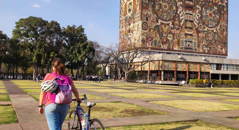 Full UNAM Immersion: Art, Architecture & Student Life Mexico — #4