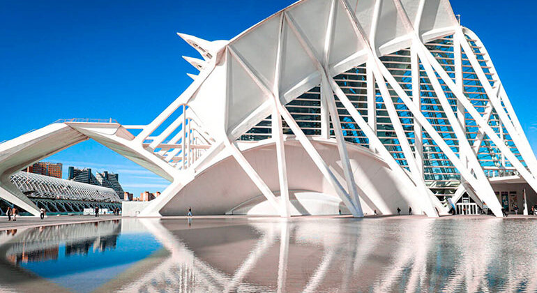 Free Tour of the City of Arts and Sciences Spain — #2