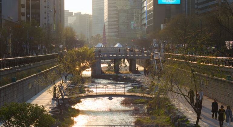 Visita imprescindible del Palacio de Seúl Corea del Sur — #6