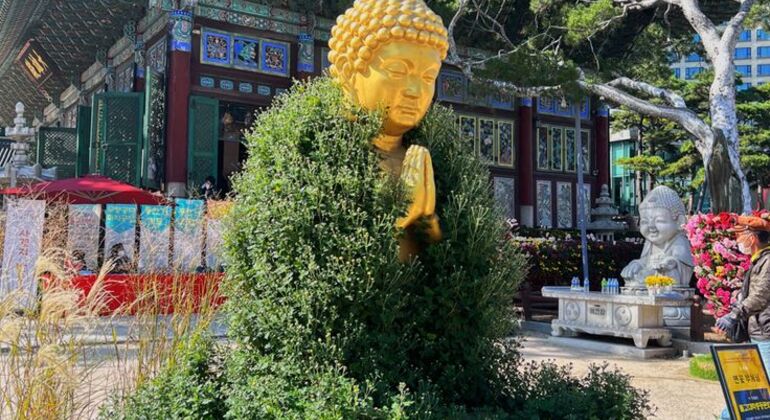 Visita imprescindible del Palacio de Seúl Corea del Sur — #9