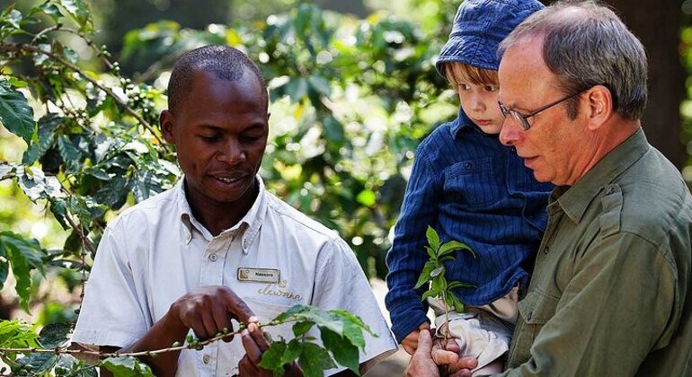 Village Flavors : Café, cuisine et contes de fées Tanzanie — #8