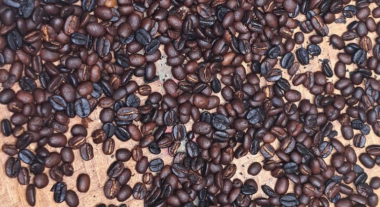 Village Flavors : Café, cuisine et contes de fées Tanzanie — #13