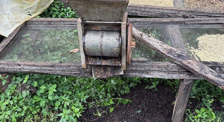 Village Flavors : Café, cuisine et contes de fées Tanzanie — #15